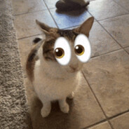 did you see that??