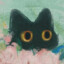 hachi