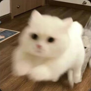 优秀的敌人往往以队友的形式出现