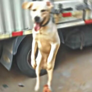 段集一中张棒棒