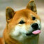 周末