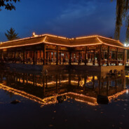 深情专一  洪世贤