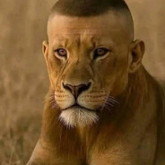 а вот і ми барні