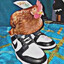 Brobeepis