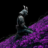 SamuraiZ_(侍)