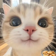 Hubsik
