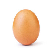 Egg
