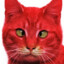 SQUINT RED CAT