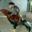 vladbrut80