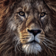 职业选手江流儿