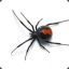 The_Spide