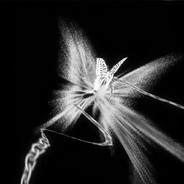 我恨你恨你恨你恨到心如血滴