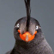 打架少个人舔包多双手