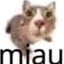 miau