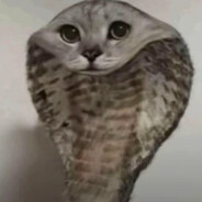 ЛюблюСырники