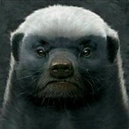 我真的不开箱了