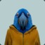 Hyacinth Macaw