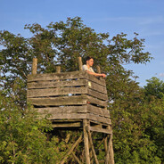 fritzattila10