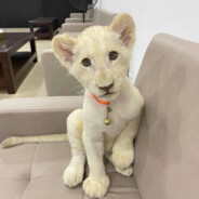 梦到醒时叹芳华.