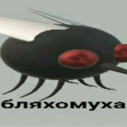 БЛЯХОМУХА?