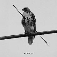 להיות סבלני