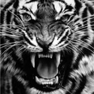 🆃🅸🅶🅴🆁123