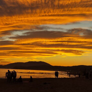 Finchent - steam id 76561199084042360