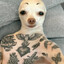 Bebra