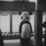 斗鱼~老板加份布丁