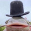 Ripjaws