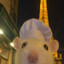 RatPeek