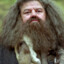 Rubeus Hagrid