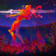Nox Anima