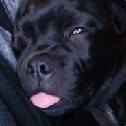 Dewin