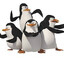 The Penguins of Madagascar