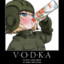 vodkaplayer