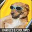 Barkley B. Cooltimes