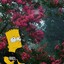 LSD133722845