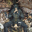 Putrida Probus