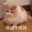 张来福