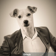 Professional Cartel Dodger