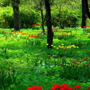 瓦批go皮天下第一