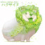 Cabbage dog