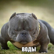 ам ням avatar