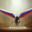 Хохлорез2008