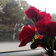 欲买桂花同载酒