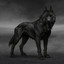Hati_Drauguro