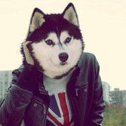 XTAMPLE P33K|hasssan