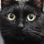 毛姜豆浆撒香蕉