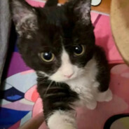 狙击镜下无活人